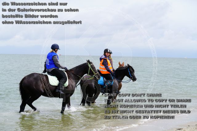 s_K3F05103.JPG